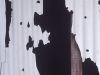 wall2